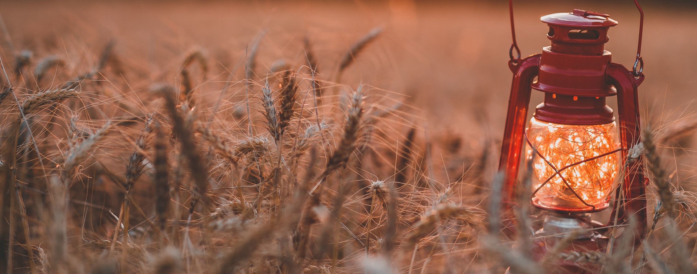 Wait of the World – Saturday, May 20, 2017