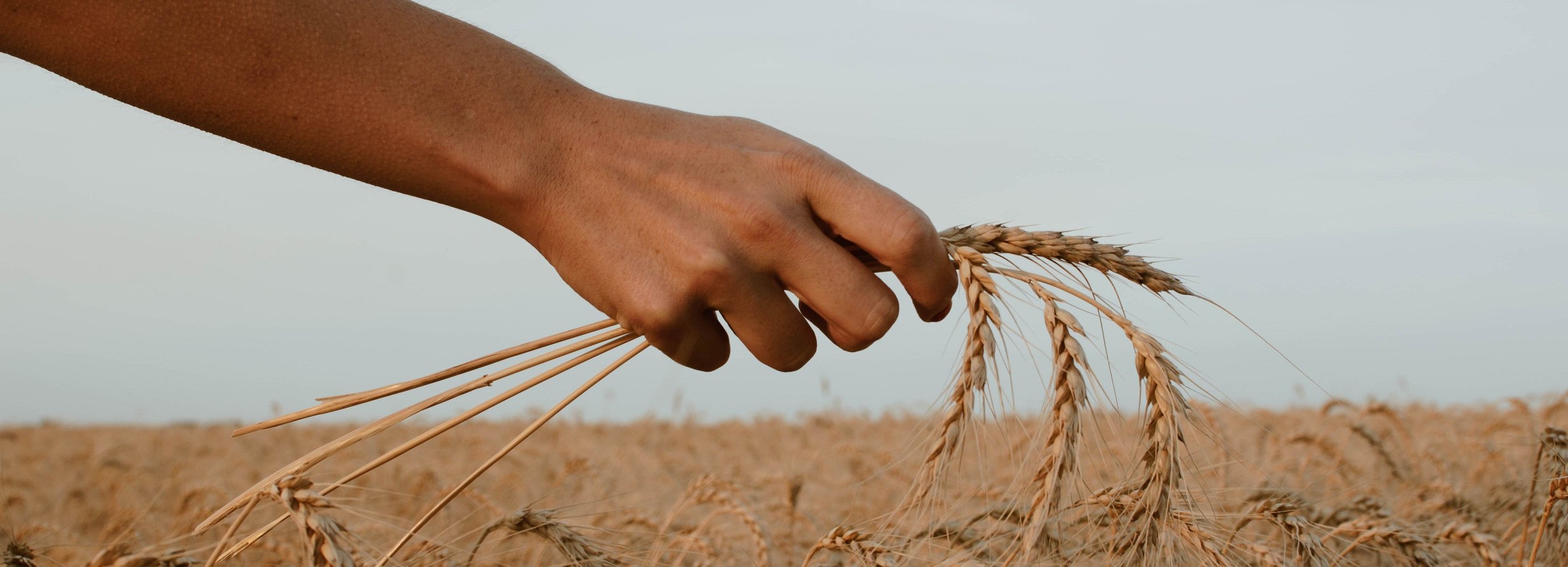 Shavuot/Ruth – Saturday, May 19, 2018